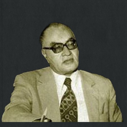 عبدالرحمن الشرقاوي