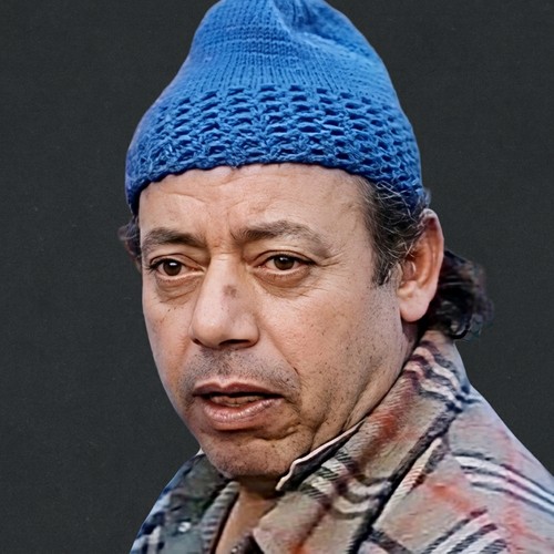 عبدالحميد المنير