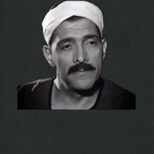 عبدالمنعم أبو الفتوح