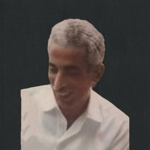 عبدالمنعم شكري