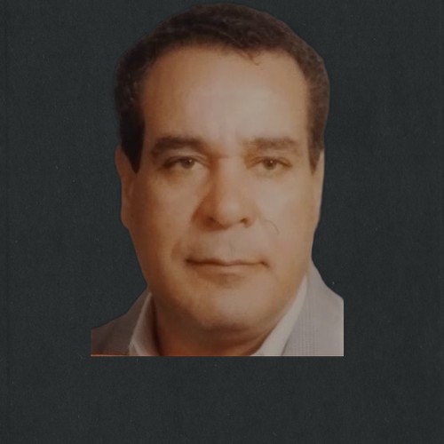 عبدالستار الدسوقي