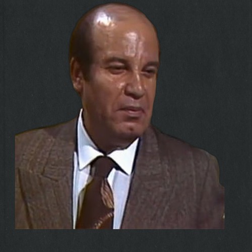 عادل الشناوي