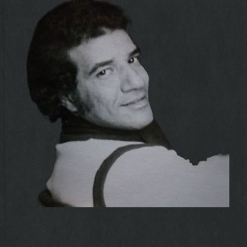 عادل مصيلحي