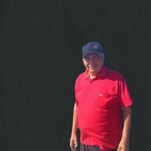 عادل زهدي