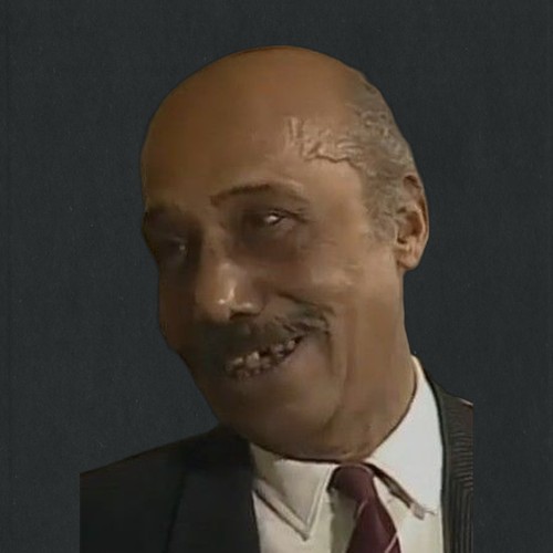علاء زايد