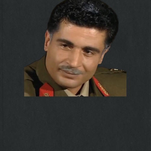 علي حمدي