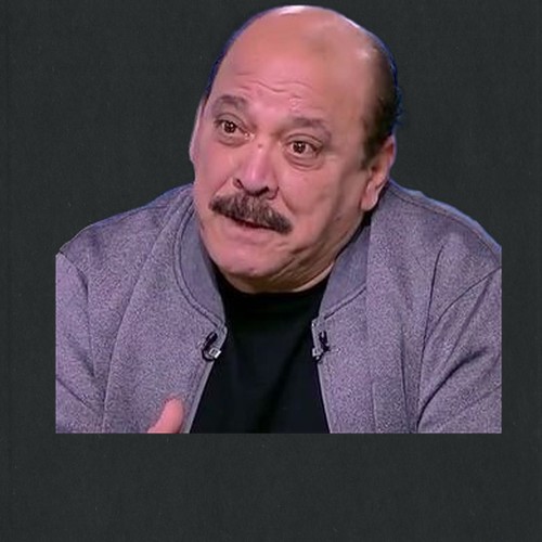 ضياء الميرغني