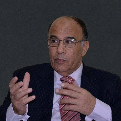الموجي الصغير