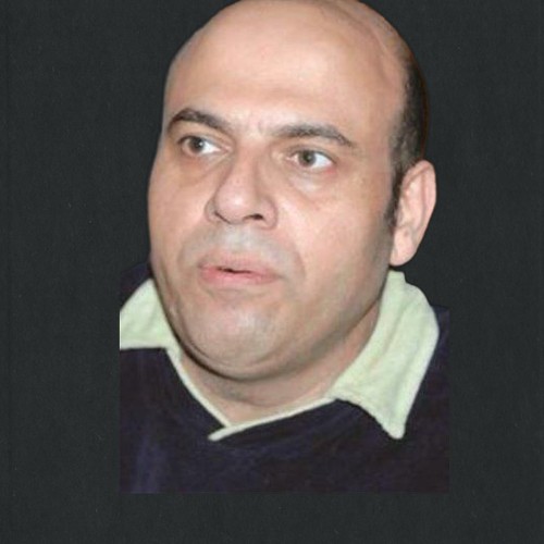 عماد العكاري