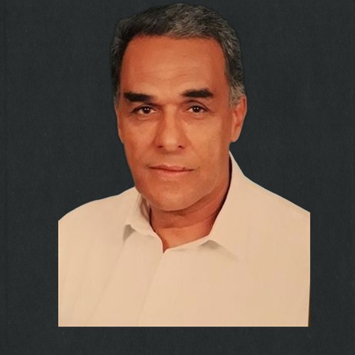 فريد عبدالحي