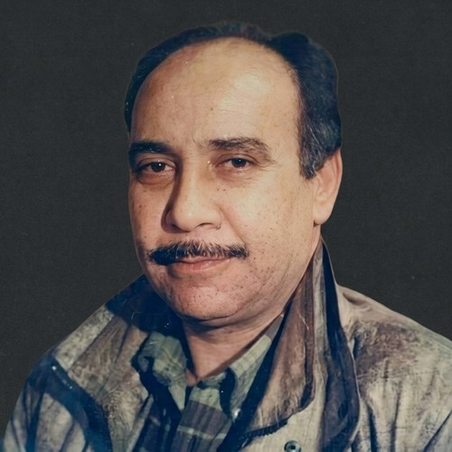 حمدي الإبراشي