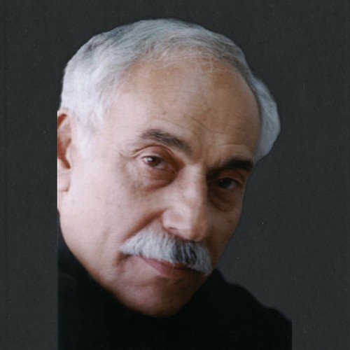 هاني شاهين