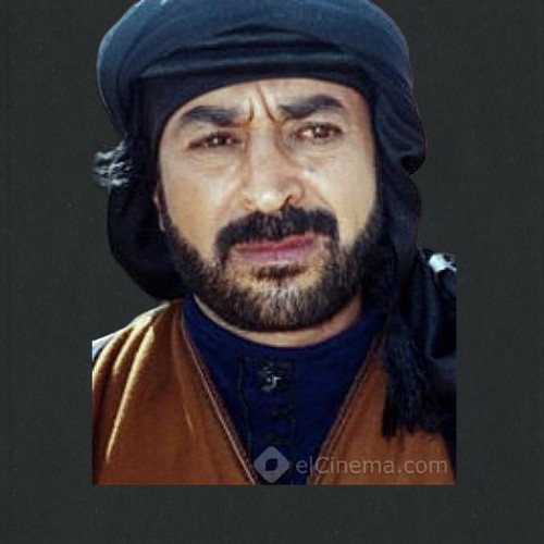 هشام حمادة