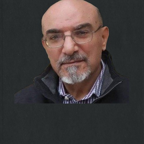 هشام هنيدي