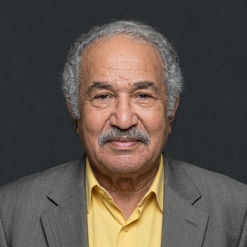 حمدي أحمد