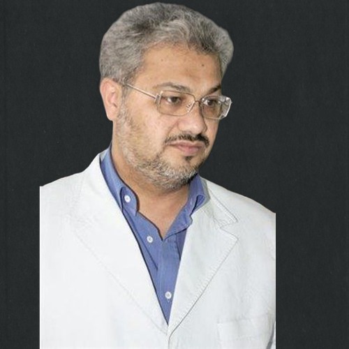 حسين المفيدي