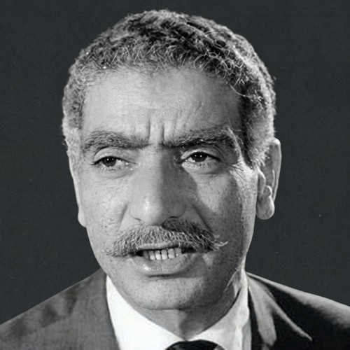 إبراهيم الشامي