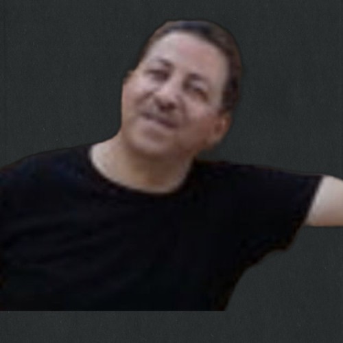 مجدي الباشا