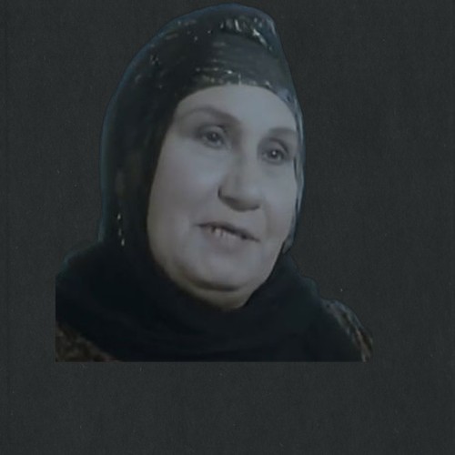محاسن النجدي