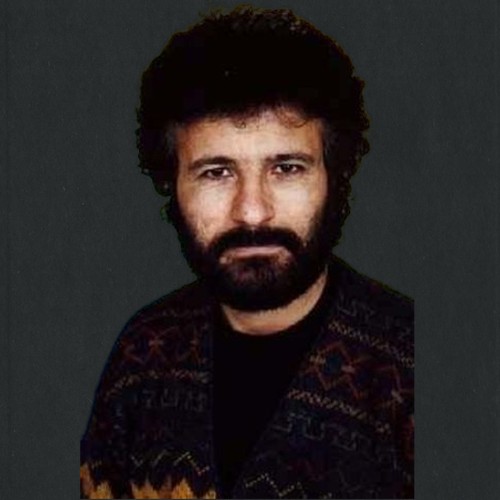 محمود خليلي