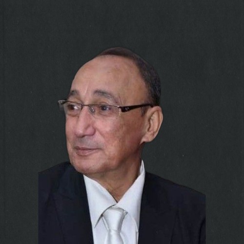 محمود زكي