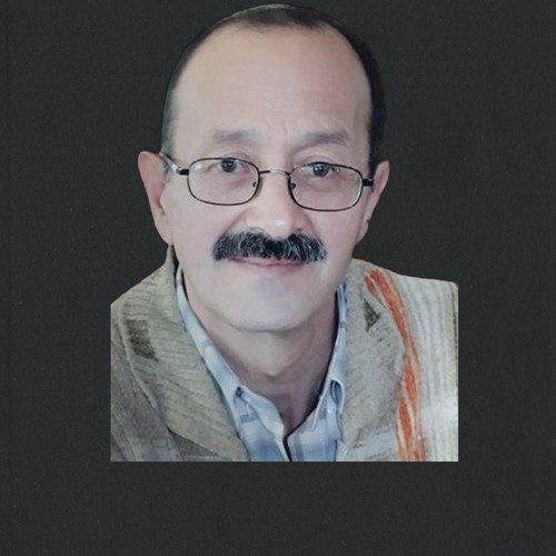 ماجد بجنكه