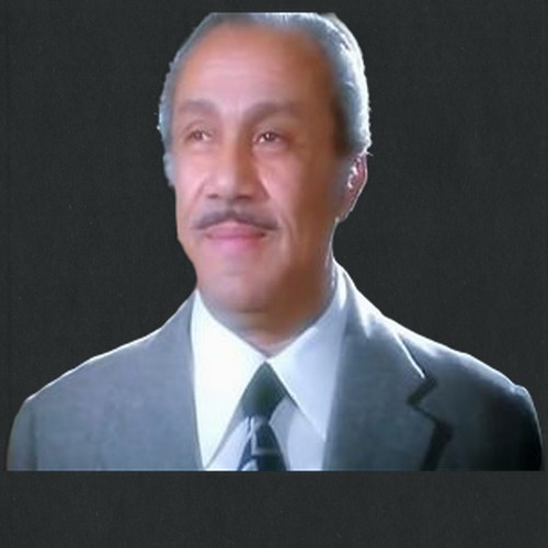 محمد السبع