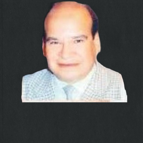 محمد رجب النجار