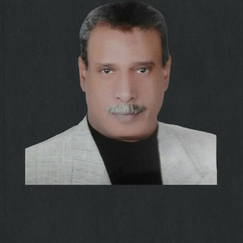 محمود بشير