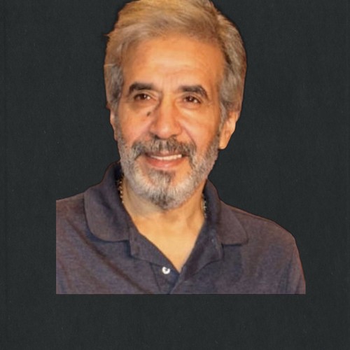 مفيد عاشور