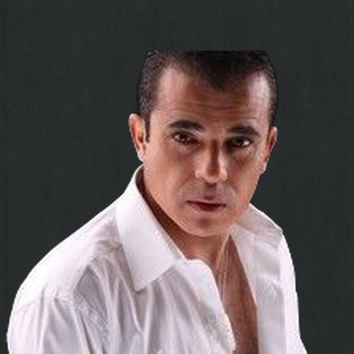 محمد الشقنقيري