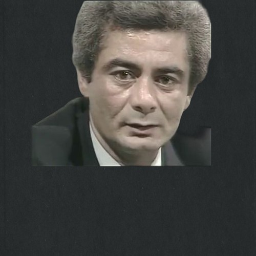 محمد عناني