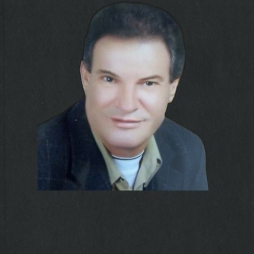 محمد الحديدي