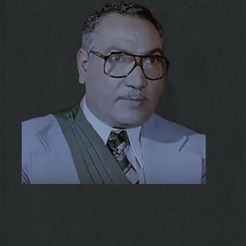 محمد الرملي