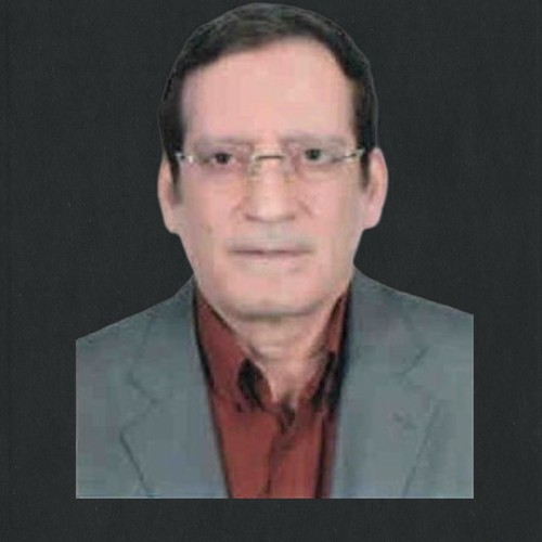 محمد كريم رفعت