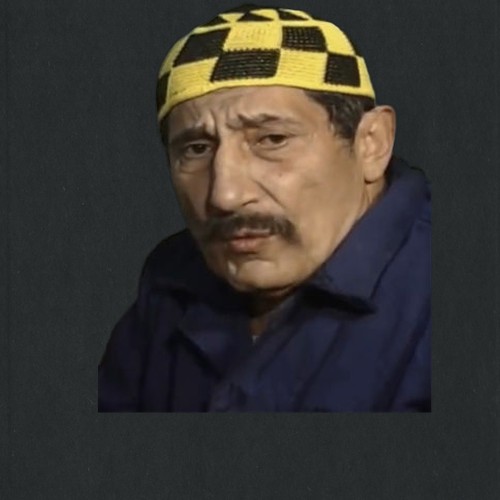 محمد سعيد محمود