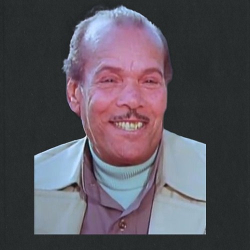 محمد شوقي