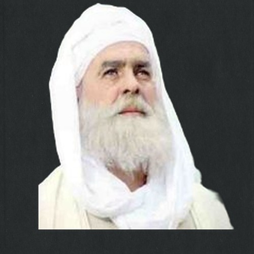 محمد الطاهر زاوي