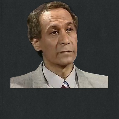 محمد ولاء الدين