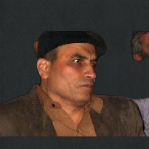 محمد الشربيني