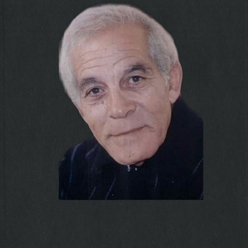 محمد عنبر