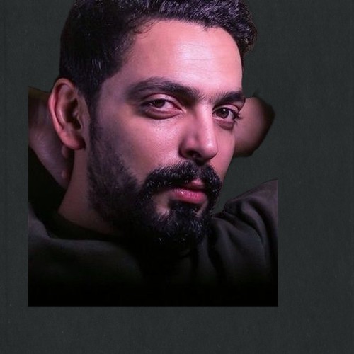 محمد المحمدي