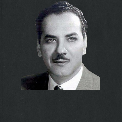 محمد الطوخي