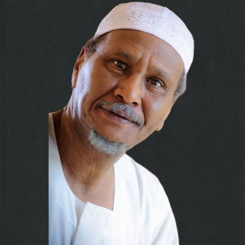 محمد حميدة