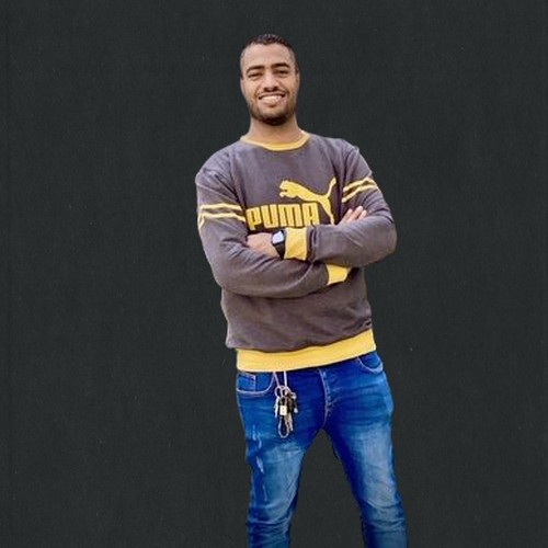 محمد مهني فوزي