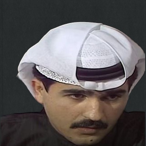 محمد سلطان الكواري