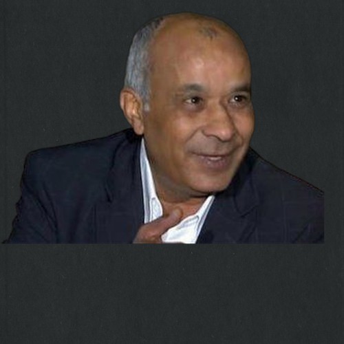 محسن حلمي