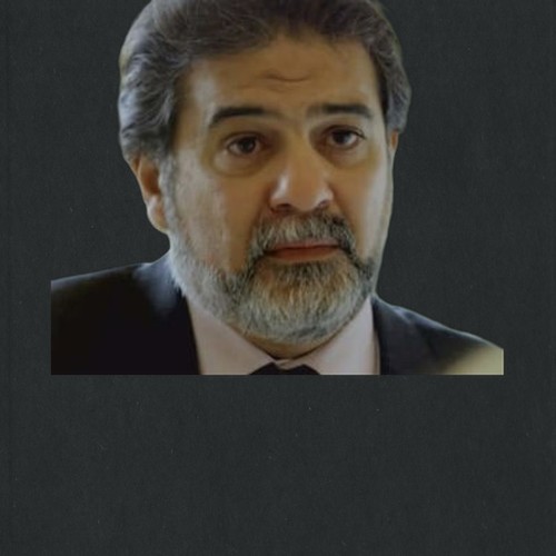 محسن محيي الدين