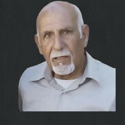 موسى نجيب