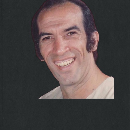 نجاح الموجي